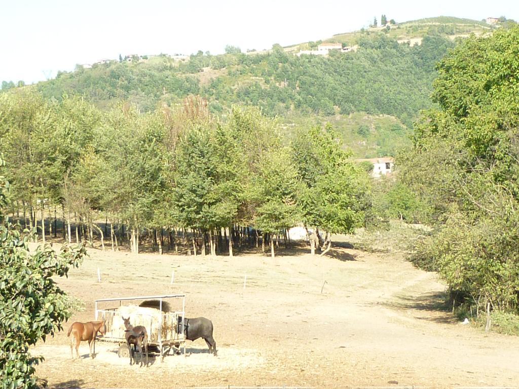 모나스테로 보르미다 Il Grappolo In Langa 빌라 외부 사진